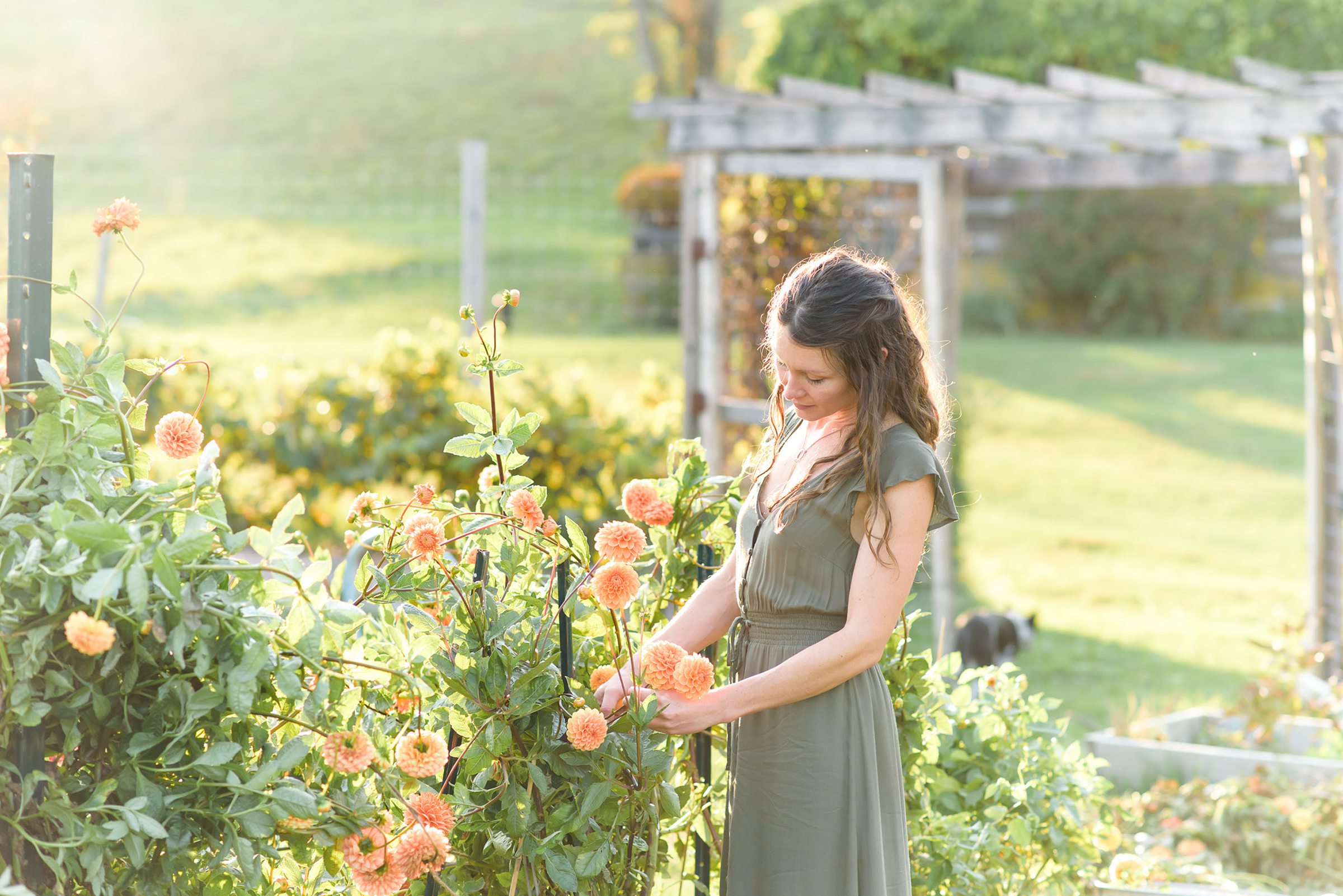 girl admiring flowers in garden